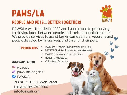 NEW website -Agency spotlight-2