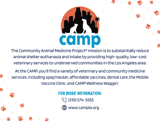 website -Agency spotlight (2)