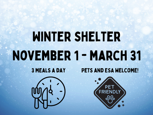 website -Agency spotlight